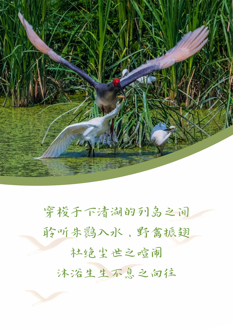 ������إ ���AG��˾ | �������Լ ��إ�ص���