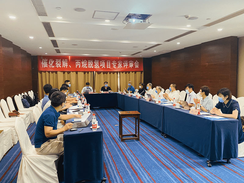 ׿er��Ⱥ | ׷��·�ϵġ���������